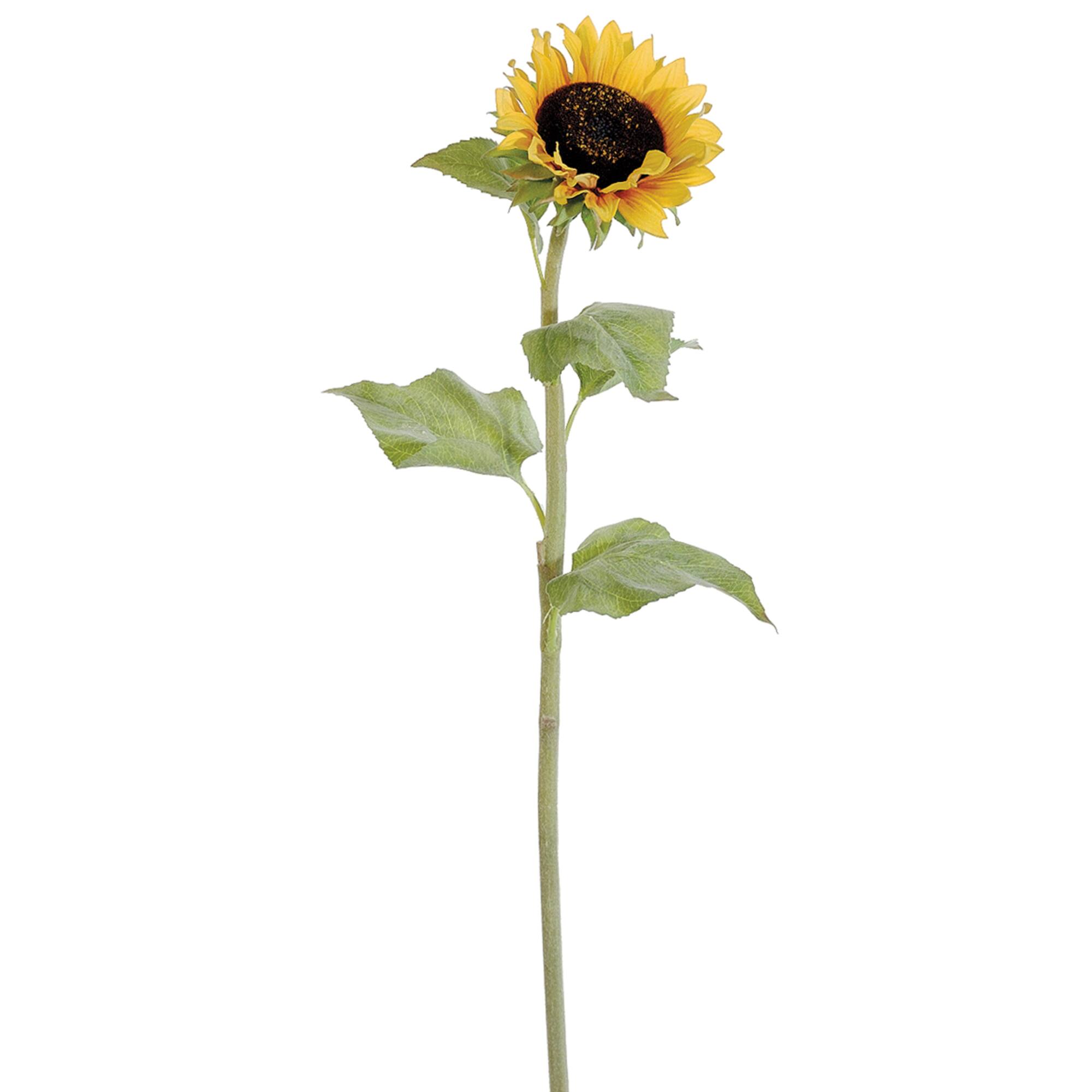 Yellow Gold Sunflower Spray